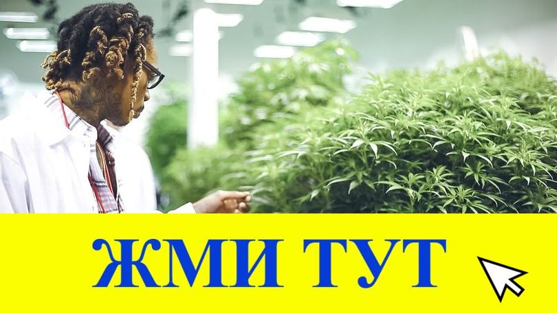 Купить наркотики в Ялте